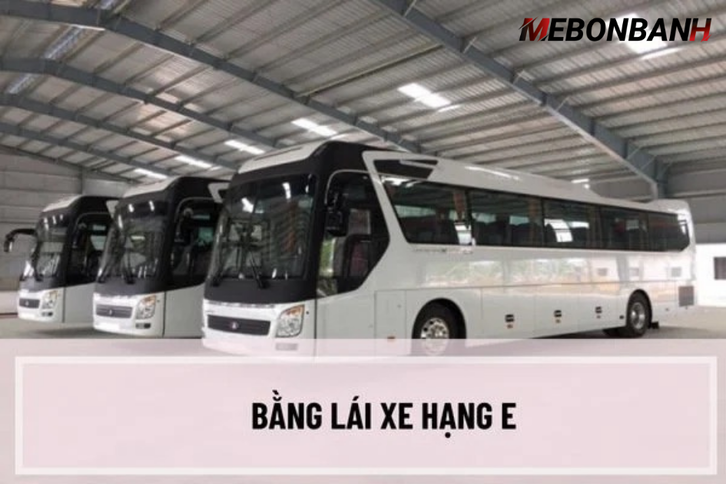 Tài xế sử dụng bằng lái hạng E khi vận hành xe chở khách đường dài và xe buýt