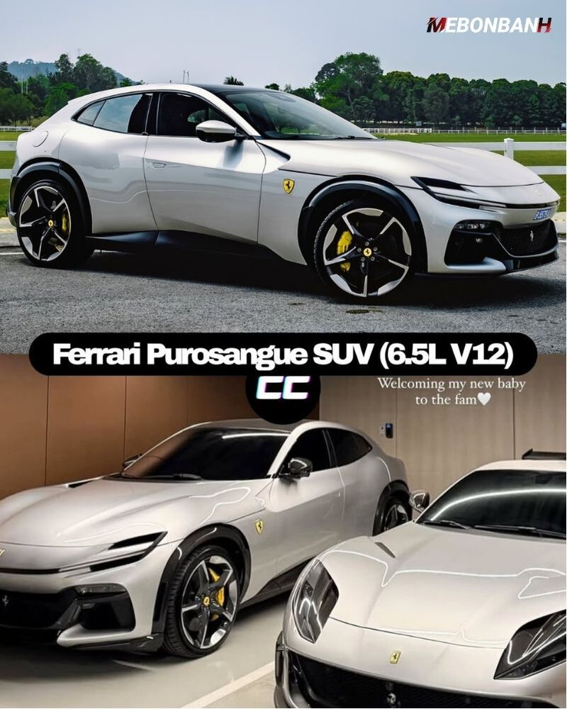 Ferrari Purosangue SUV