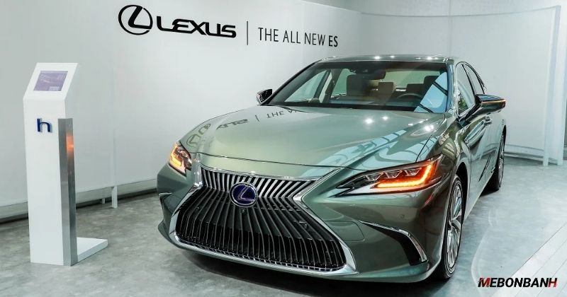 Dòng Sedan (Lexus ES, LS)