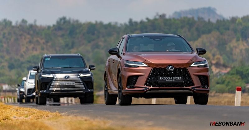 Dòng SUV & Crossover (Lexus NX, RX, GX, LX)